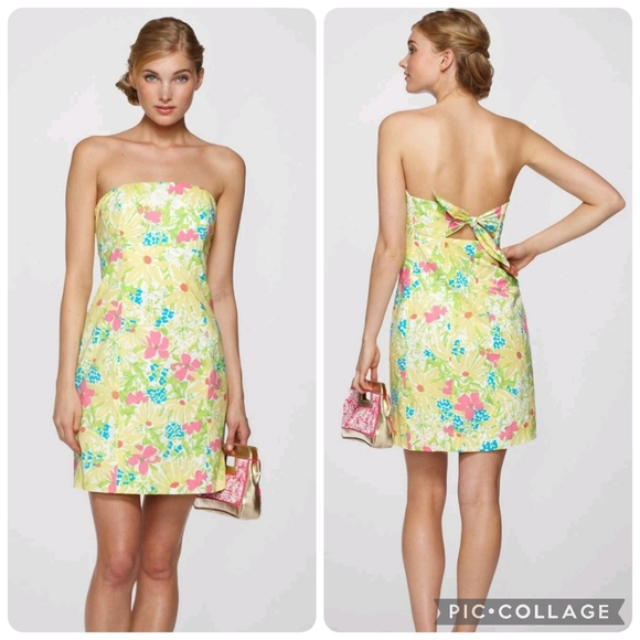 Lilly Pulitzer Franco Blue Eyed Girl Tie Back Strapless Multicolor Floral Dress - Picture 1 of 16